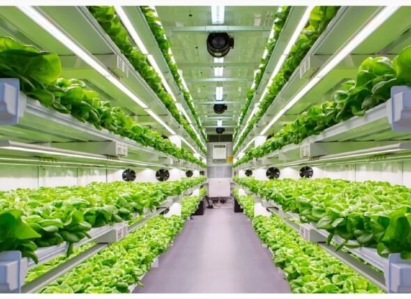 vertical-farming-shipping-containers