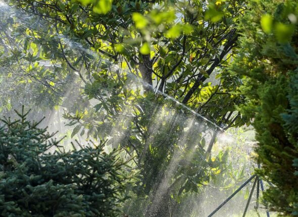 irrigation-2819565_1280